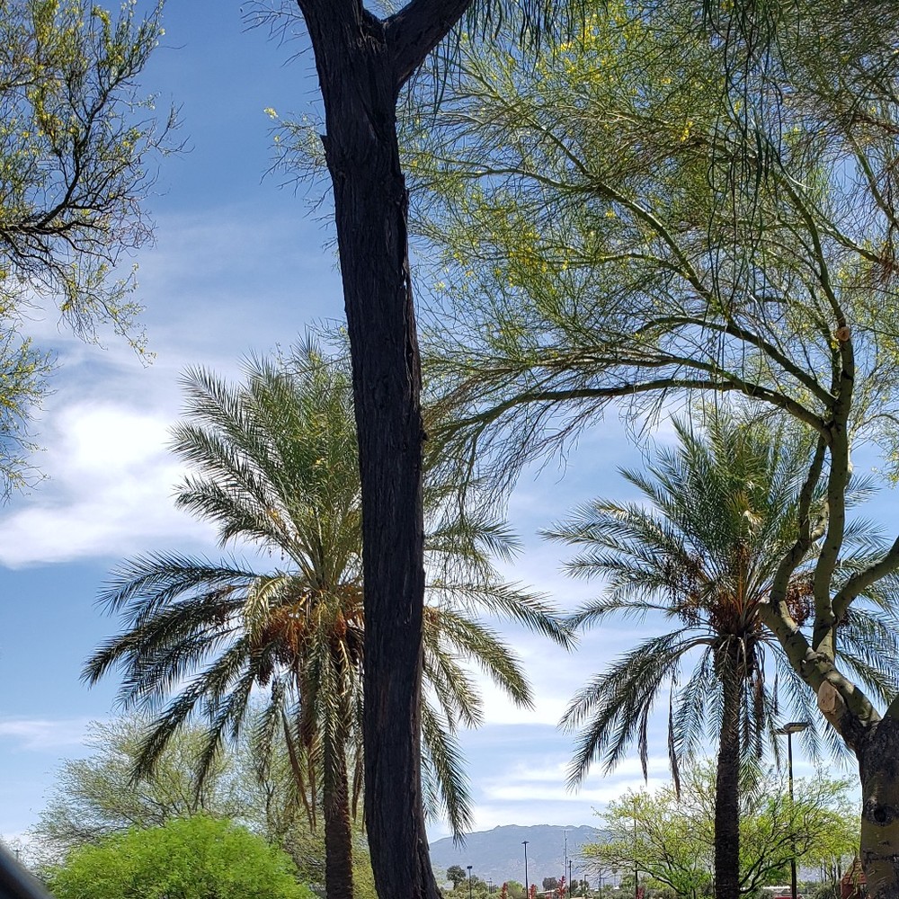 Meet your Posher, Nadia